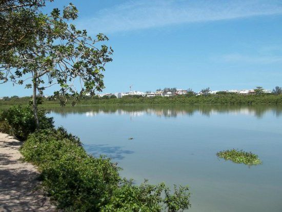 Parque Municipal Chico Mendes